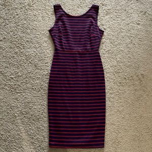 Navy Blue and Red Striped Form Fitting Dress